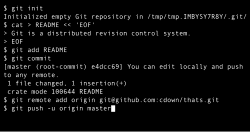 Git